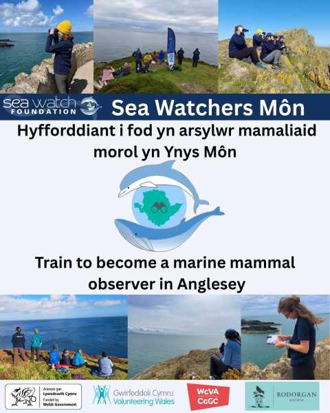 Become a Sea Watchers Môn volunteer!

Byddwch yn gwirfoddol i Sea Watchers Môn!