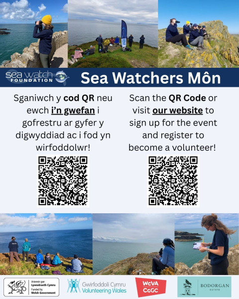 Train to be a marine mammal observer!

Hyfforddiant i fod yn arsylwr mamaliaid morol!