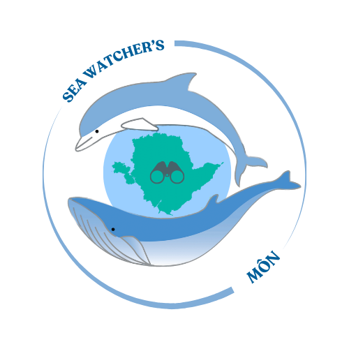 Train to be a marine mammal observer!

Hyfforddiant i fod yn arsylwr mamaliaid morol!