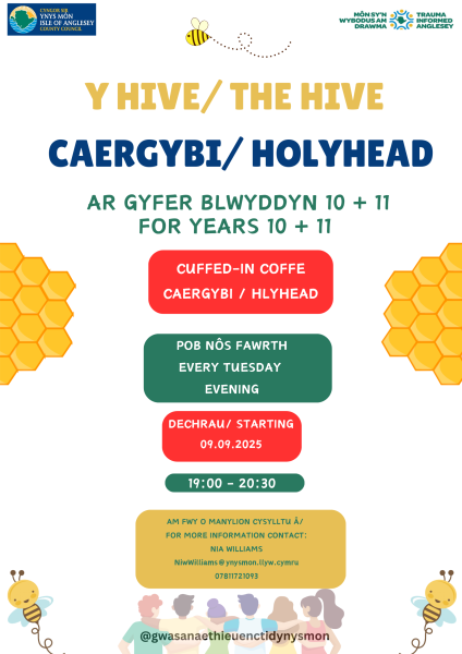 Y Hive - The Hive
Blwyddyn 10+11 - Year 10+11