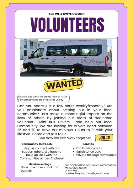 minibus driver